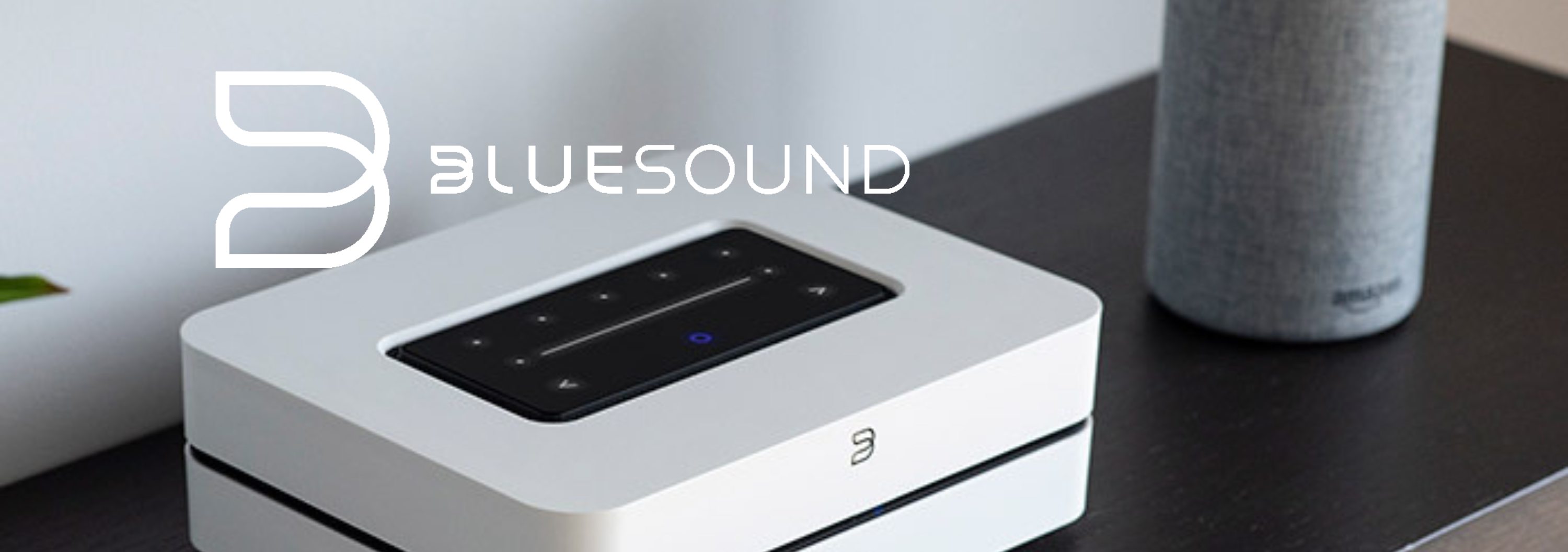 Bluesound
